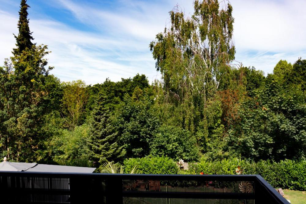 Ferienwohnung Morillenhang Aken Buitenkant foto
