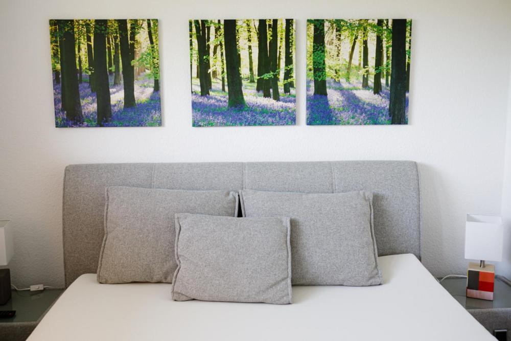 Ferienwohnung Morillenhang Aken Buitenkant foto